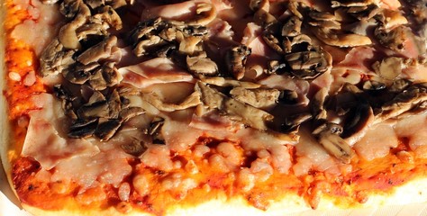 Pizza with ham and mushrooms and mozzarella cheese