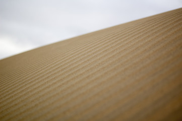Duna textura