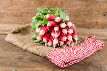 Bunch of radishes