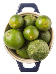 Lime, makrut or kaffir lime and calamansi in blue pot 