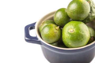 Lime, makrut or kaffir lime and calamansi in blue pot 
