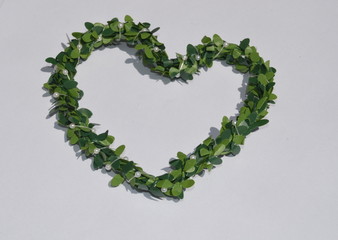 Buchsbaum Herz mit Perlen