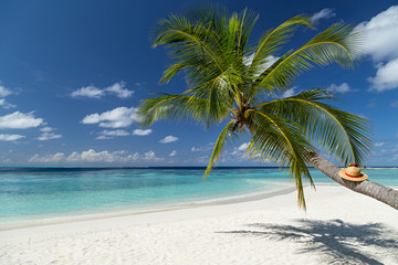 Fototapeta na wymiar paradise beach