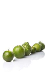 Lime, makrut or kaffir lime and calamansi over white background