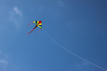 Nice kite on the sky
