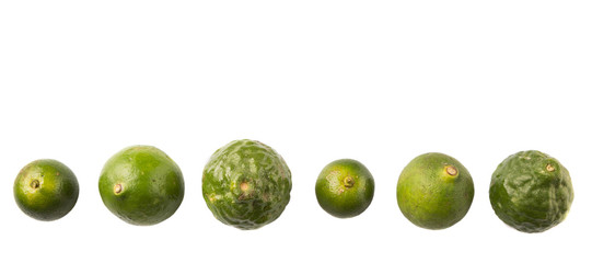 Lime, makrut or kaffir lime and calamansi over white background
