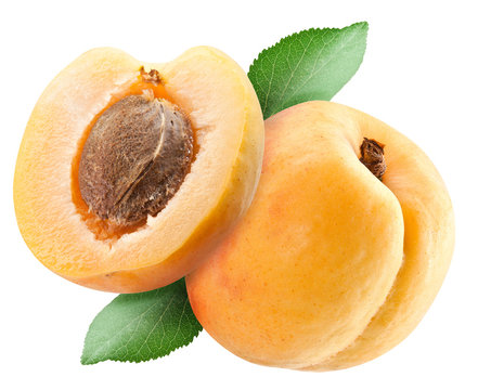 Ripe appricots.