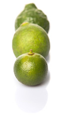 Lime, makrut or kaffir lime and calamansi over white background