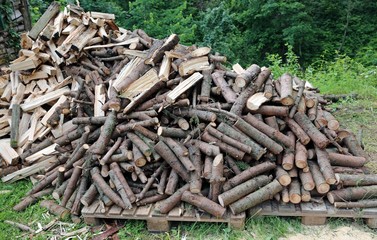 wood cut for use as ecological heating