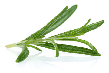 Rosemary