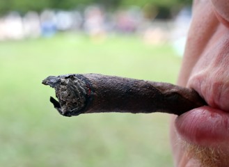young smoker with cigar in mouth