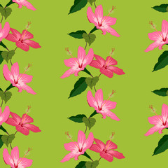Seamless pattern with hand drawn hibiscus flowers on green 