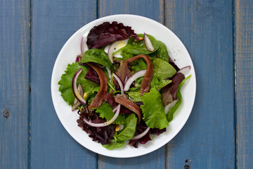 salad with anchovies and onion on white plate on blue background