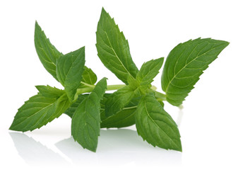 Mint Leaves