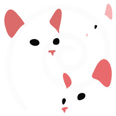 cat faces isolated on white background