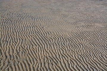 Abstract sand pattern, seaside natural organic landscape detail.
