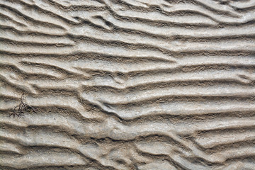 Abstract sand pattern, seaside natural organic landscape detail.