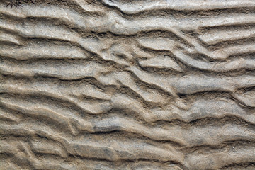 Abstract sand pattern, seaside natural organic landscape detail.