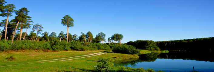 Fototapeta premium На природе летом