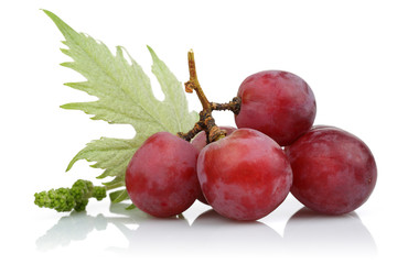 Red grape