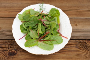 Salad of fresh chard leaves in white plate on wooden background