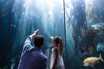 Father and daughter pointing a fish in the tank 