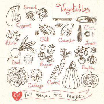 Set drawings of vegetables for design menus, recipes and