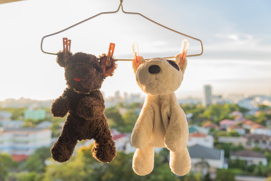 Hanging animal dolls