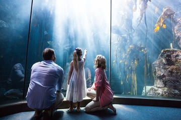 Daughter pointing a fish while her mother and father looking at 