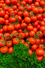 Reife Tomaten und frische Petersilie liegen in der Auslage zum Verkauf