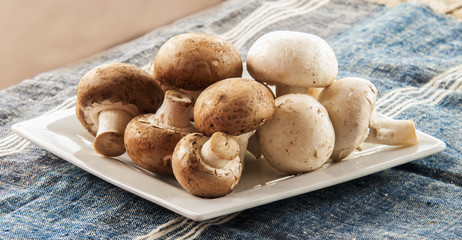 Fresh brown mushrooms close up