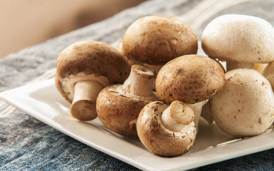 Fresh brown mushrooms