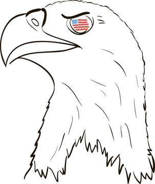 Bald eagle with American flag