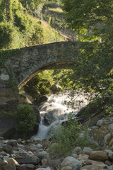 Fototapeta na wymiar il vecchio ponte ad arco sul torrente alpino