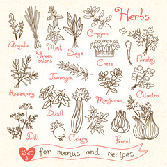 Set drawings of herbs for design menus, recipes and packages - 84906078