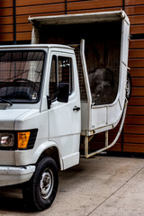 Art à la Cité Internationale de Lyon