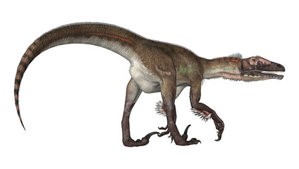 Obraz na płótnie Canvas Dinosaur Utahraptor