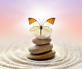 Fototapeta na wymiar Butterfly and stones balance