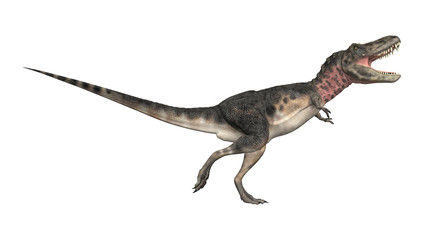 Dinosaur Tarbosaurus