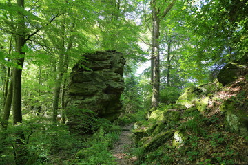 Wanderpfad, Wald, Felsen, Deutsch- Luxemburgischer Naturpark