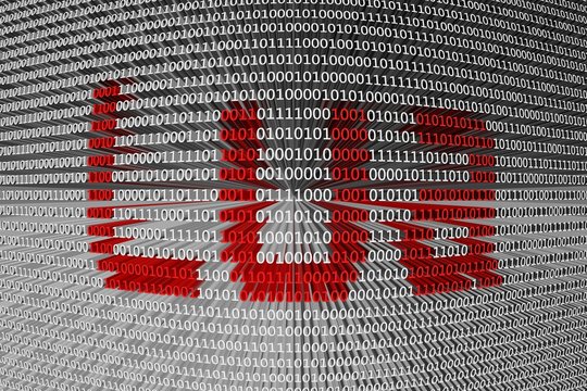 binary code programming language Lua
