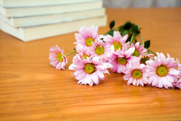 pink flower on table