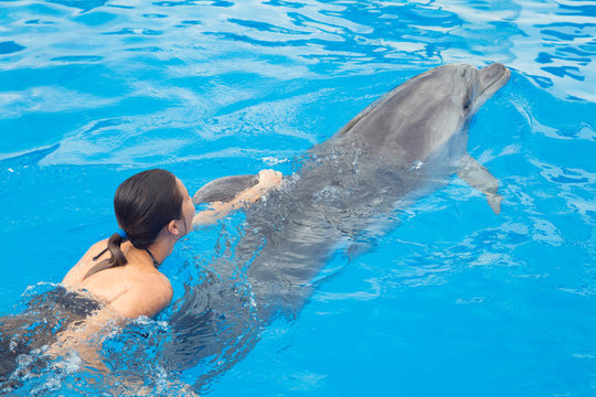 Girl swimming with Dolphin