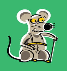 Old laboratory rat in pain, with scars after pharmacological experiment