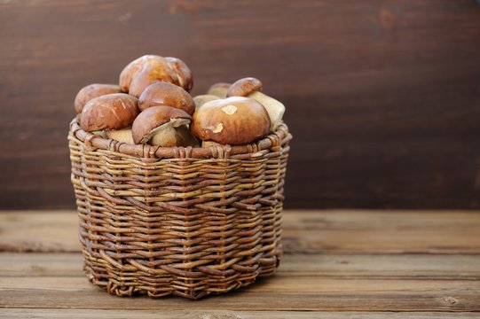 Wild porcini mushrooms in handmade wicker basket on wooden backg