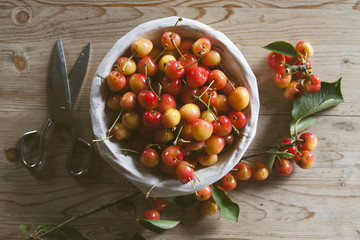 fresh red cherries from the recent harvest