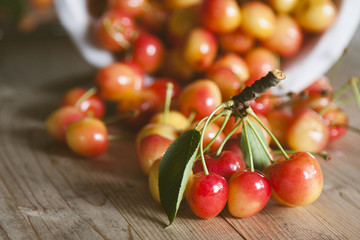 fresh red cherries from the recent harvest
