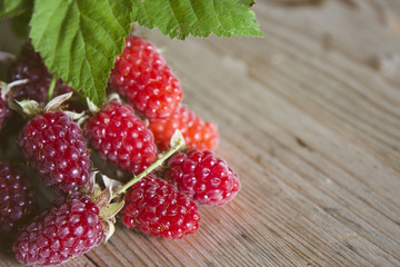 fresh red raspberries recent vintage