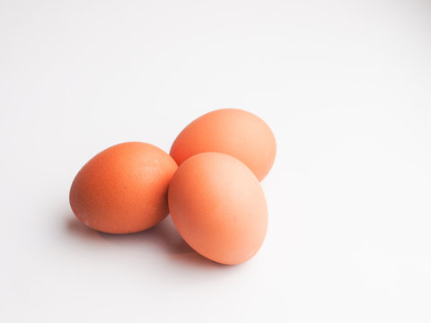 egg in white background