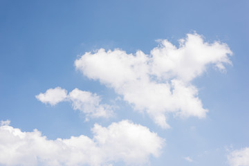 Fototapeta premium White cloud